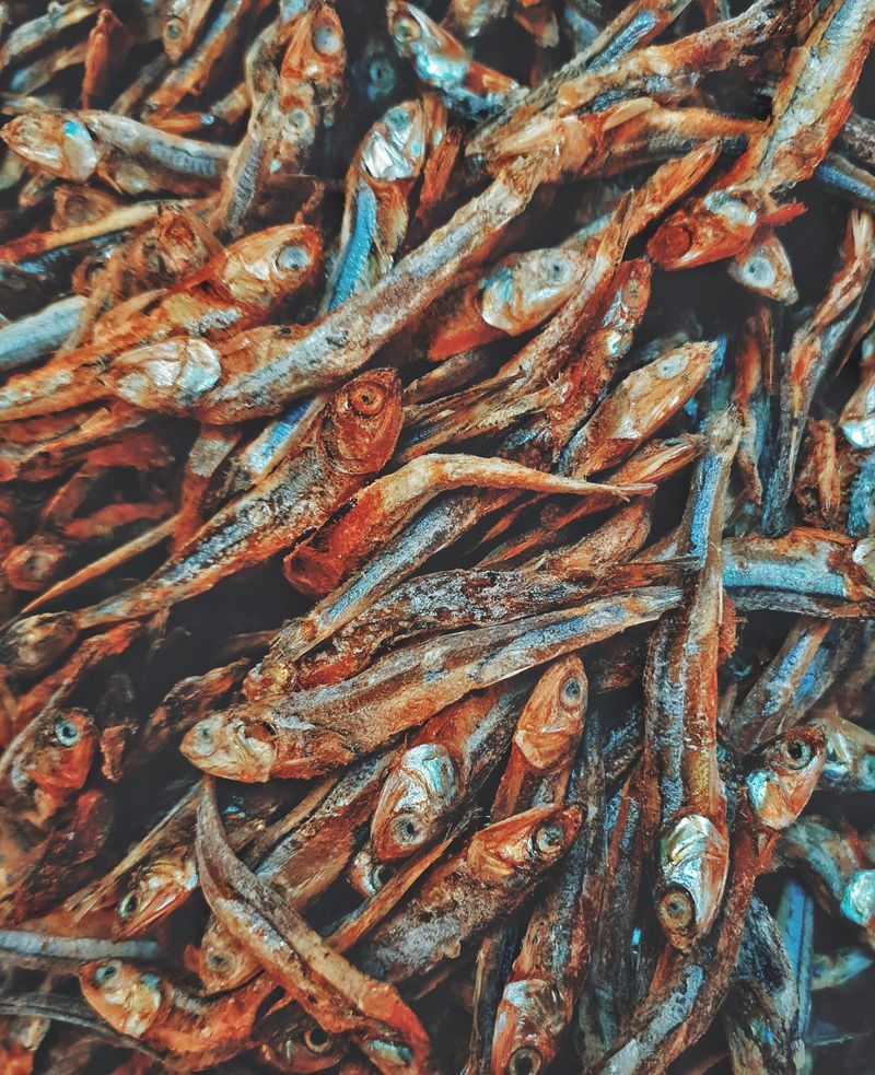 hasan almasi i6N2L JZS4E unsplash