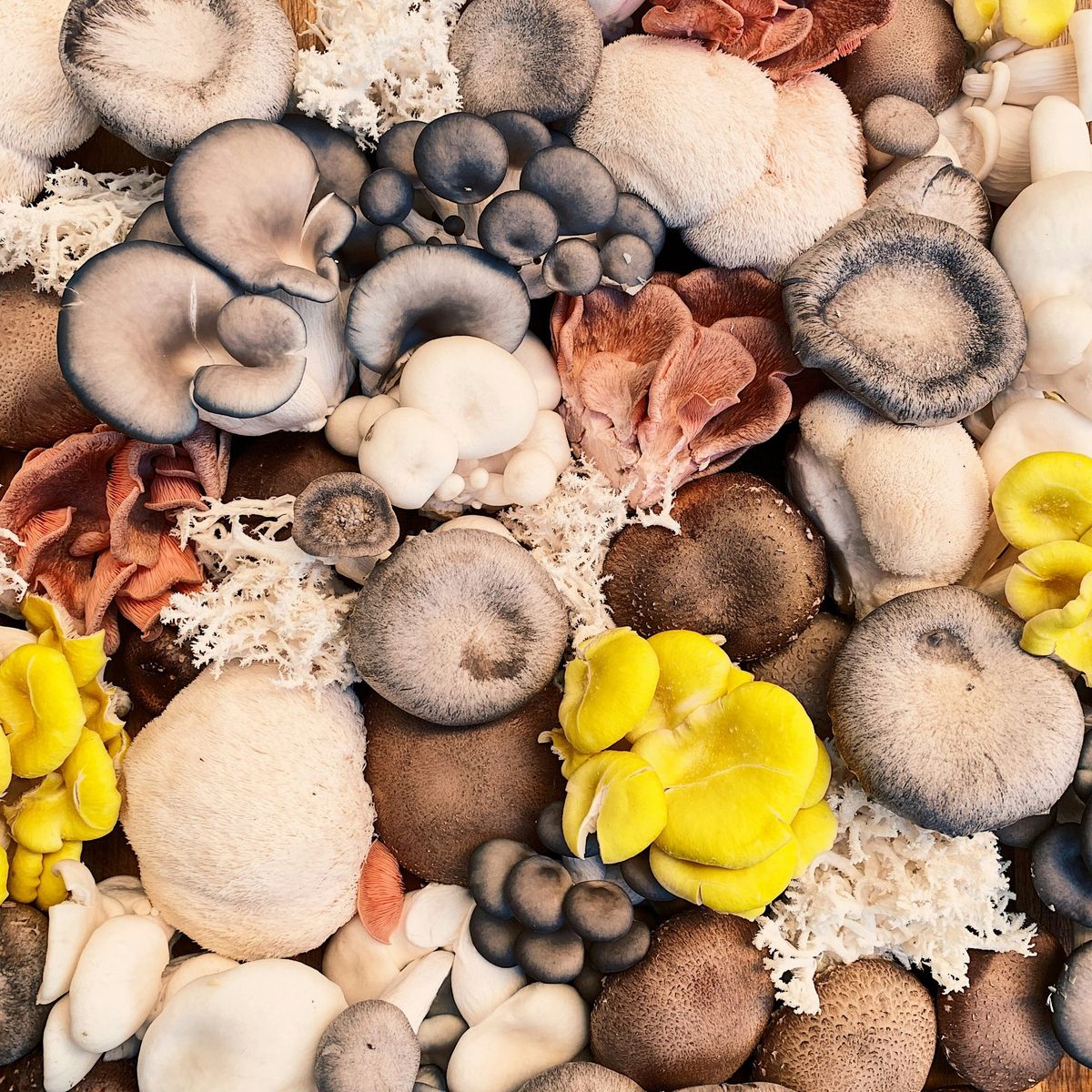 ashleigh shea otVUcXqwqGM unsplash